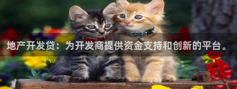 永利酒店老板是谁
