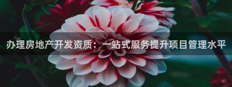 永利股份做什么
