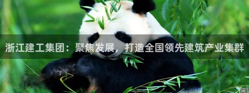 永利网会员