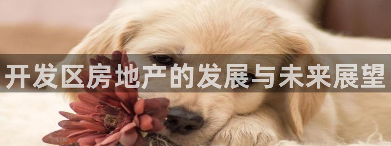 永利混凝土有限公司