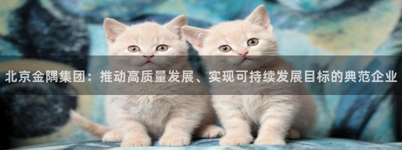 永利建筑工程有限公司董事长