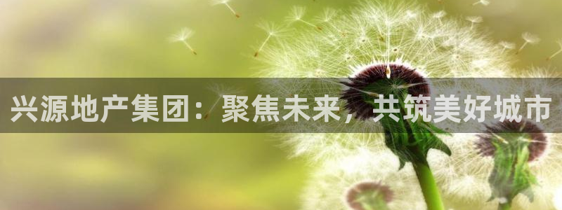 永利集团官网总站