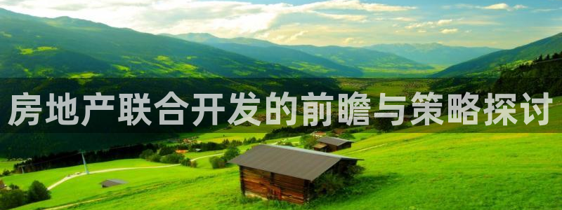 永利房地产有限公司董事长是谁