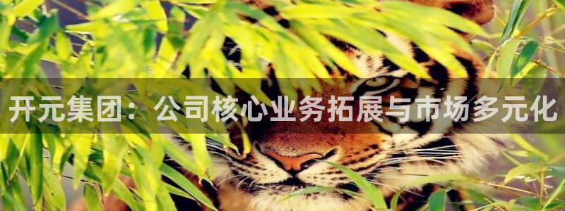 永利赚钱