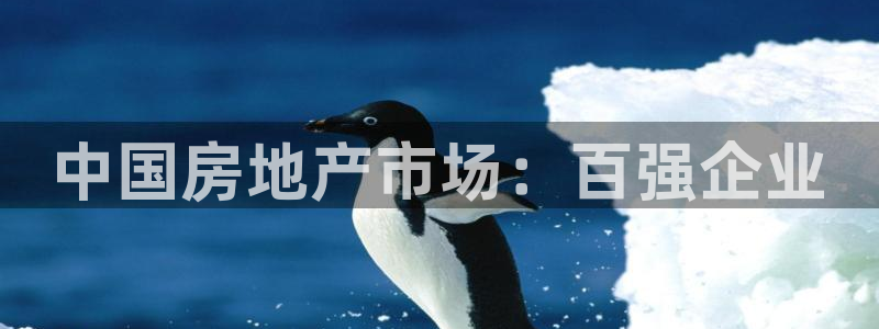 澳门 永利
