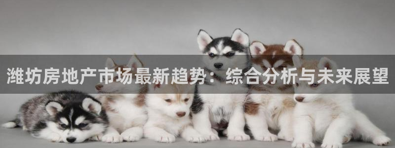 永利房地产有限公司怎么样