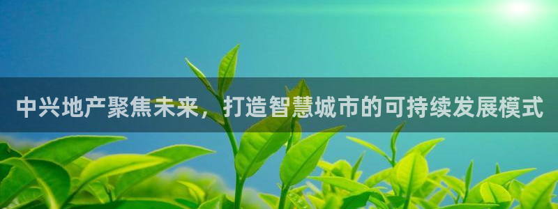 永利官网可信吗