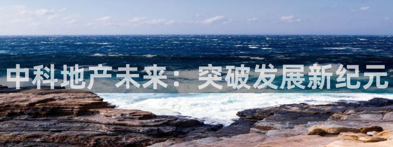 永利房地产开发有限公司总经理