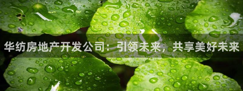 永利汇茶具官网