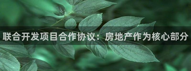 滨州永利顺运输有限公司